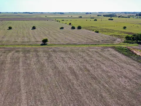 Campo en Venta de 20  ha