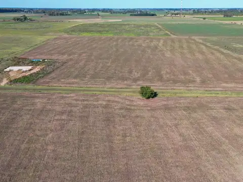 Chacra de 20 hectareas