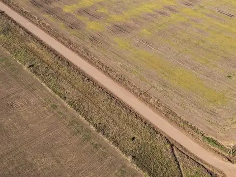 Diego Gaynor - Ex. de la Cruz