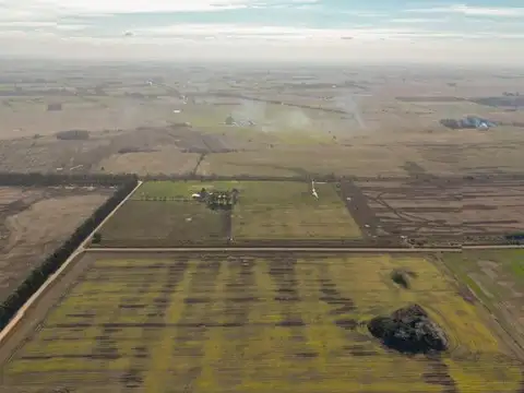 Campo en Exaltación de la Cruz