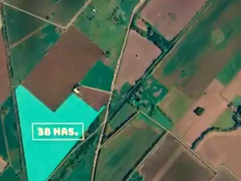 Diego Gaynor - Ex. de la Cruz