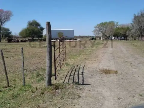 Venta de establecimiento  Rural- campo en Villa Guillermina Santa Fe