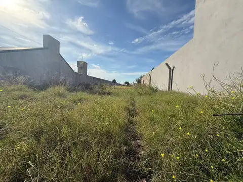 Terreno sobre Pasteur, Nueva Vista