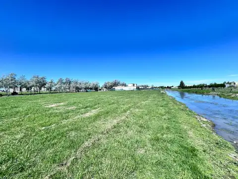 LOTE HARAS DEL SUR 3