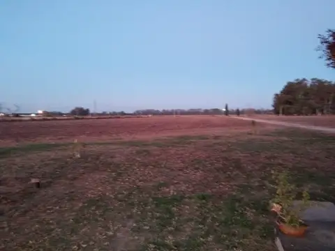 Camino viejo a Atucha