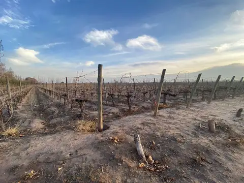 Terreno en Venta de 163351,0 m2