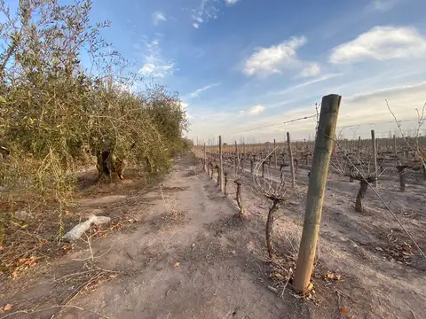 Terreno en Venta de 163351,0 m2