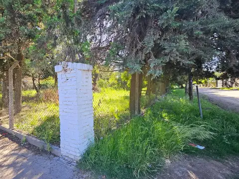 Terreno en Venta en Banco Provincia, USD 650.000