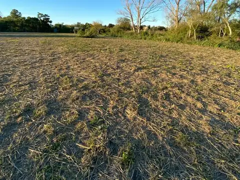 Terreno en venta - 2.428Mts2 - Los Talas, Berisso