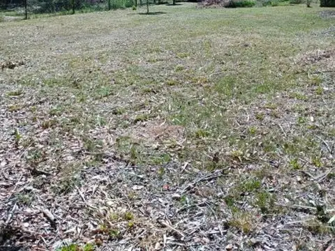 Terreno en Venta de 1000,0 m2