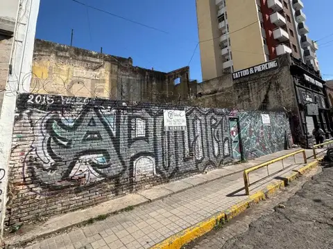 Terreno en Venta en Centro, USD 290.000