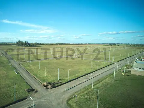 El Eucalipto , Piso 0