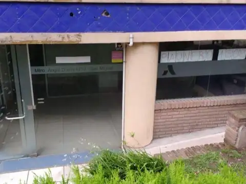 Maestro Angel D'elia 1200