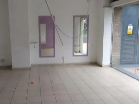 Maestro Angel D'elia 1200