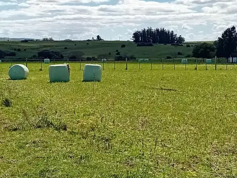 Camino a Cañada Bellaca 100