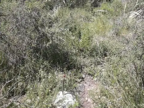 Terreno en Venta de 2500,0 m2