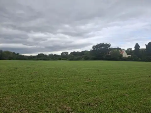 Club de Campo Altos de San Lorenzo 1000