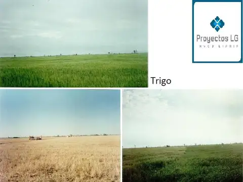 Quinta en Venta en Sol de Julio, USD 1.200