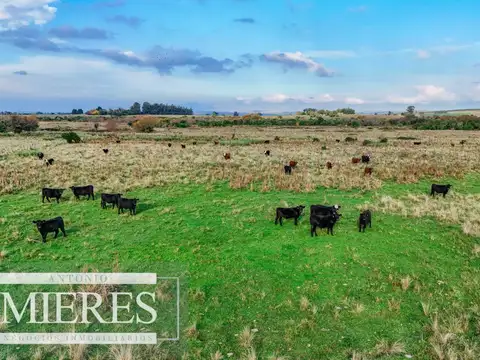 Campo en venta de 68 ha sobre ruta 39