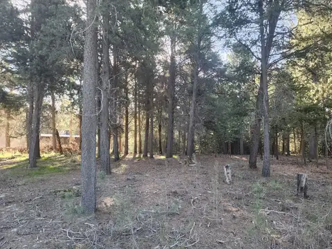 Ruta 40 y Circunvalación