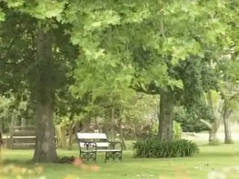 Terreno en Venta 20  mts Frente