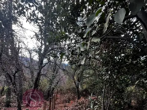 Terreno en Venta de 787,0 m2