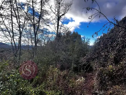 Terreno Lote  en Venta en Kaleuche, San Martin de los Andes, Patagonia