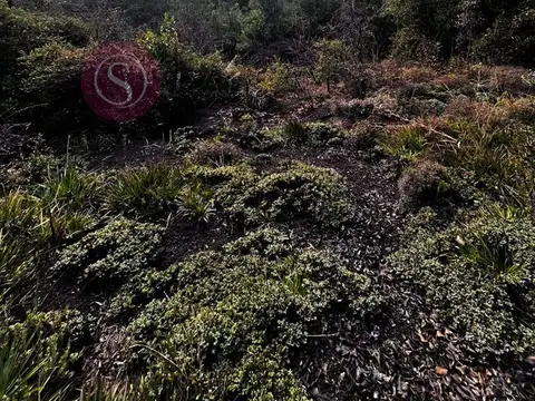 Terreno en Venta en San Martin De Los Andes, USD 28.900