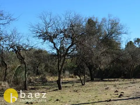 Terreno en Venta de 1000,0 m2