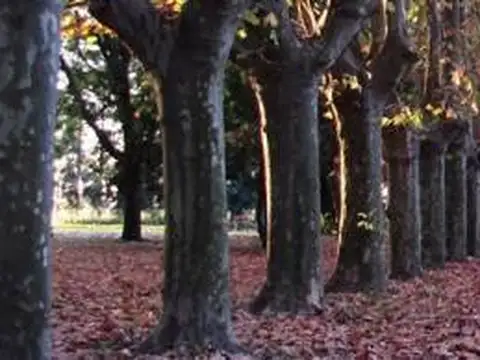 Terreno en Venta de 648,0 m2