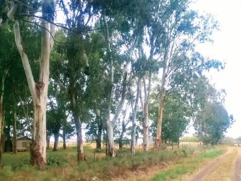 Terreno en Venta 100  mts Fondo