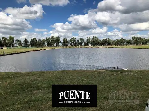 Terreno - La Alameda