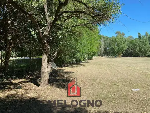 Terreno en Venta 44  mts Fondo