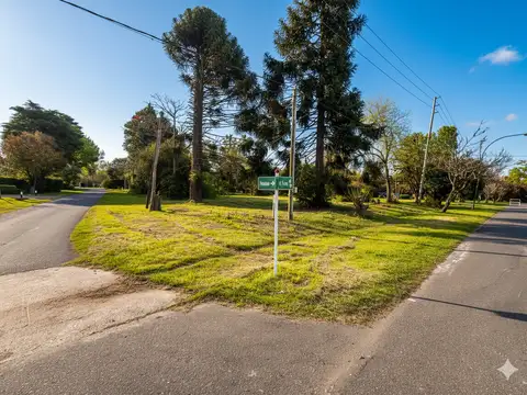 Antártida Argentina 500