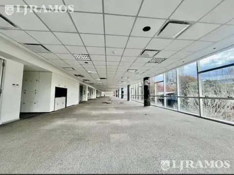 Oficina en Alquiler con 15 cocheras