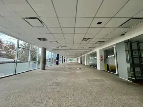 Oficina en Alquiler al Este