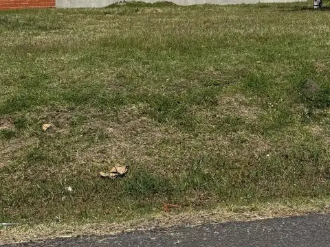 24 de Febrero 1925 Barrio Parque Derqui 600