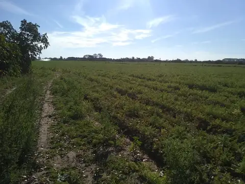 Campo en Venta de 3,70  ha