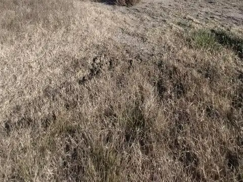 Oficina en Venta 2025 años