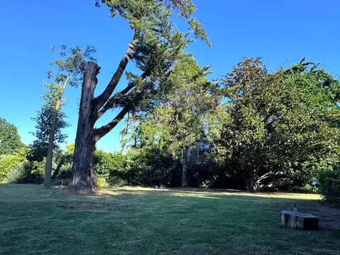 Terreno en Venta en Villa Bertha, USD 99.900