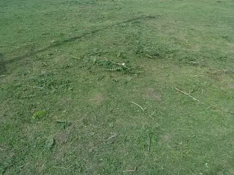 Terreno en Venta 23  mts Fondo