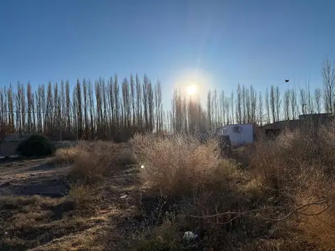 Terreno en Venta en Plottier, USD 50.000