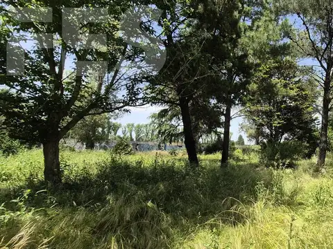 Terreno en Venta de 300,0 m2