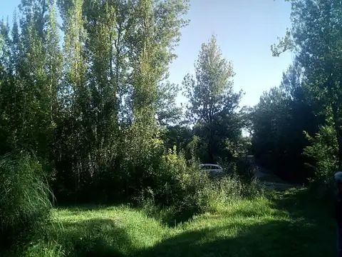 Terreno en Venta de 300,0 m2