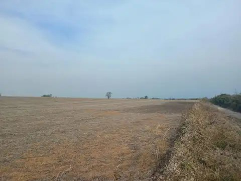 Vendo 40 has Diamante