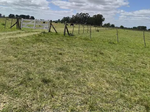CAMPO EN Venta SAN MIGUEL DEL  MONTE Acceso directo ruta 41 y secundario por ruta 3