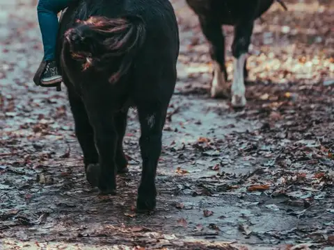 Terreno en Venta de 626,0 m2