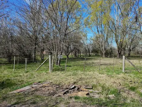Juana Ibarbourou y Vera Penaloza