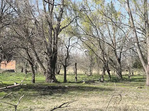 Juana Ibarbourou y Vera Penaloza