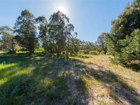 Terrenos únicos con salida directa a la costa